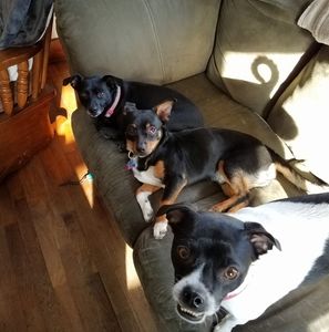 Meet your Posher, Nels